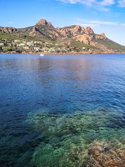 Louer un yacht pour découvrir la calanque d'Antheor