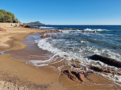 Louer un yacht pour se rendre sur la plage de la Tortue