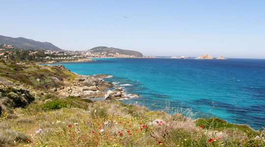  https://www.visit-corsica.com/
